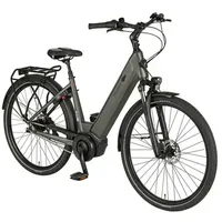 Prophete Geniesser 3.0 28 Zoll RH 48 cm Grau