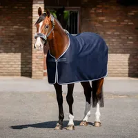 Bucas Emerald Wool Rug, 165