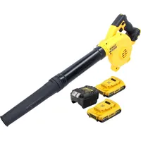 DeWalt DCV 100 D1 inkl. 2 x 2,0 Ah