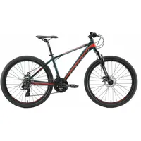 Bikestar 26 Zoll RH 40,5 cm Damen grün