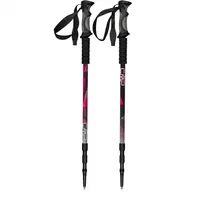 CMP Bern Trekking Poles 3B36297 - Fuchsia - One