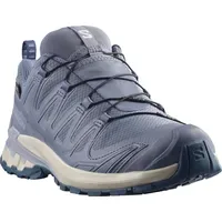 Salomon XA Pro 3D V9 GTX Damen Grisaille/Tradewinds/Spellbound 41
