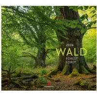 Ackermann Wald Kalender 2026