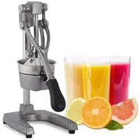 Relaxdays Saftpresse manuell Hebelpresse Silber