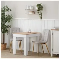 Homestyle4u Polsterstuhl Samt Grau Gold