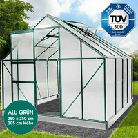 Brast Gewächshaus Aluminium Grün ESG 6 mm 6,25 m2