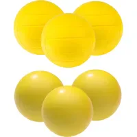 Sport-Thieme Volleybälle