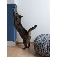 Primaflor Kratzbrett 100 x 200 cm blau