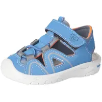 Pepino Gary Blau 28