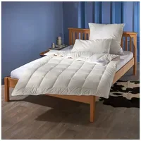 Traumschlaf, Duvet, Baumwollduvet 4-Jahreszeiten (2390 g, Baumwolle, Füllung: 100%