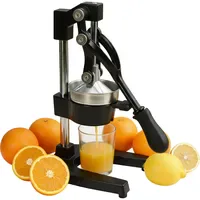Relaxdays Manuelle Saftpresse mit Hebel schwarz