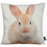 Done. BUNNY 45 x 45 cm Beige