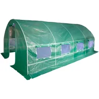 DEMA Gewächshaus Tunnel 6 x 3 x 1,9 m