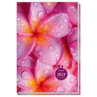 Trötsch Verlag Taschenkalender A6 Flowers 2027