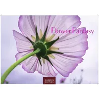 Casares Fine Art Edition Flower Fantasy Kalender 2027 -
