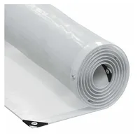 VidaXL Transparente Plane 2 x 6 m Schwarz