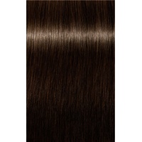 Schwarzkopf Igora Royal Absolutes 4-70 mittelbraun kupfer natur 60