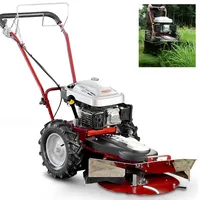 Hecht Kreiselmäher 5060 4,9 PS