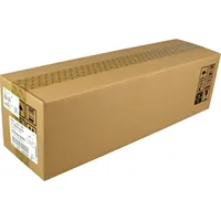 Ricoh Developer D2393061 cyan OEM