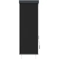 VidaXL Außenrollo 60 x 250 cm Anthrazit