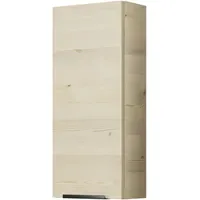 Saphir Hängeschrank SAPHIR "1 Drehtür mit Soft-Close", polar pinie,