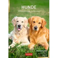 Harenberg Hunde Wochenplaner 2027 Weiß