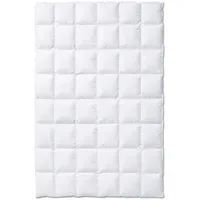 Kauffmann Exclusive warm - 155x220cm