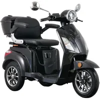 Aktiv mobil E-Trike Pro Schwarz