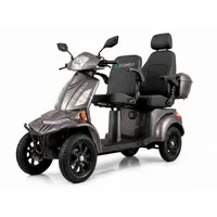 ECONELO E-Seniorenmobil VISTA Quarter-1L Elektromobil grau