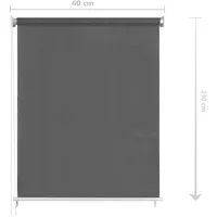 VidaXL Außenrollo 60 x 230 cm Anthrazit
