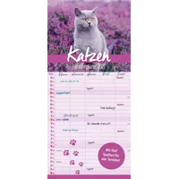 Labonté buch + kalender gbr Katzen Familienplaner 2027 Weiß