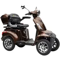 Prestige home E-Seniorenmobil MAXXI 4.0 Elektromobil braun