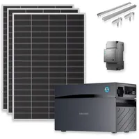 Sunshare Ray Lite Monokristallin 600 W inkl. 2000 Wh