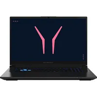 Medion Defender 17 P10 17,3" Intel Core i9-14900HX 16