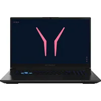 Medion Defender 17 P10 17,3" Intel Core i9-14900HX 16