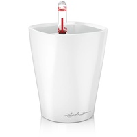 LECHUZA Mini Deltini Komplettset 10 x 10 x 13