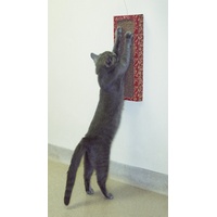 Cat Dancer Wand Kratzbaum 16 x 4,5 x 46