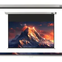 Celexon Rollo Professional 160x90 16:9