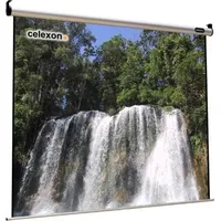 Celexon Motor HomeCinema 160x160 1:1