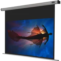 Celexon Motor HomeCinema 160x90 16:9