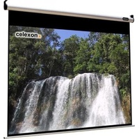 Celexon Motor HomeCinema 160x120 4:3