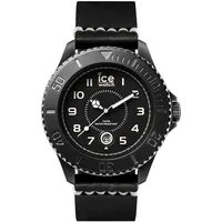 ICE-Watch Ice Heritage 001198