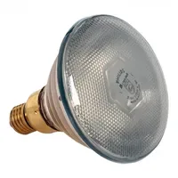 Philips 175 W 240 V klar