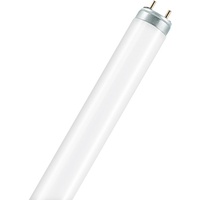 Osram L 36W/954