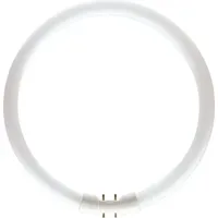 Philips Master TL5 Circular 22W/830 2GX13