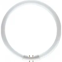 Philips Master TL5 Circular 22W/840 2GX13