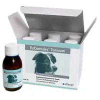 Alfavet ReConvales Tonicum Hund 6 x 90 ml