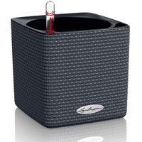 LECHUZA Cube Color Komplettset 14 x 14 x 14