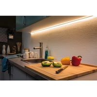 Paulmann MaxLED 500 Basisset 3m Warmweiß beschichtet (706.66)