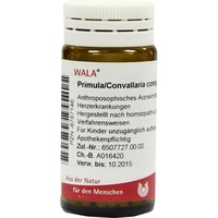 Wala PRIMULA/CONVALLARIA COMP